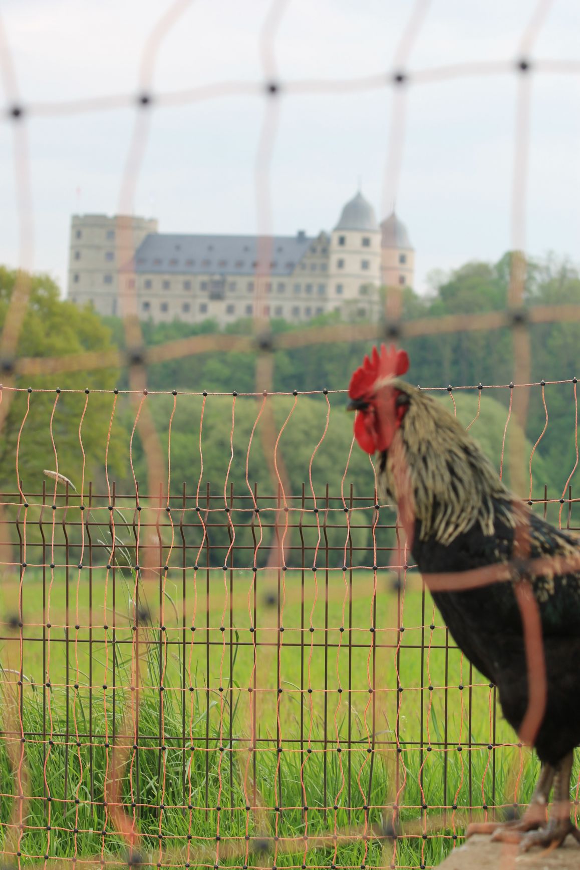 2023-05-09_Silvia Kohlschmidt_1